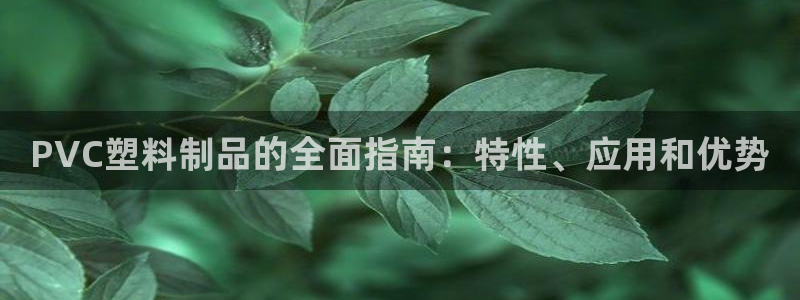 suncitygroup太阳集团--官方网站：PVC塑料制品