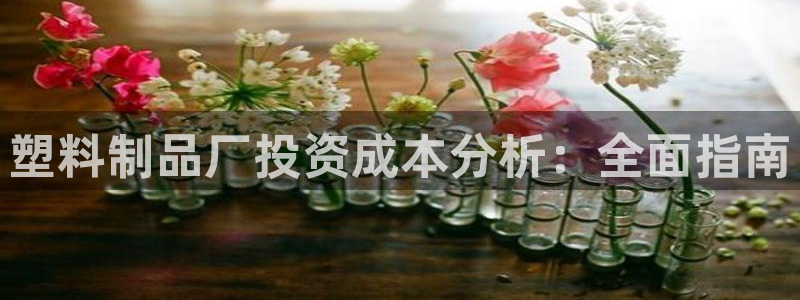 太阳app免费下载官方网站：塑料制品厂投资成本分析：全面指南