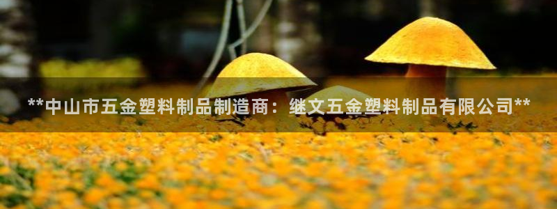 太阳集团房地产：**中山市五金塑料制品制造商：继文五金塑料制