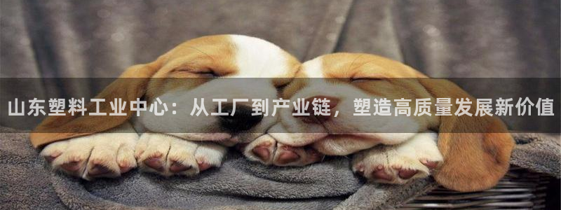 太阳集团唯一值得信赖网站是什么：山东塑料工业中心：从工厂到产