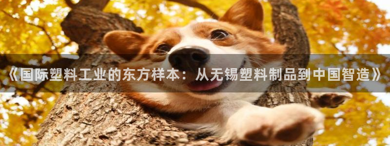 太阳集团城网官方入口：《国际塑料工业的东方样本：从无锡塑料制