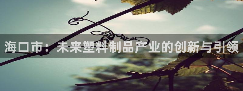 太阳集团的老总是谁：海口市：未来塑料制品产业的创新与引领