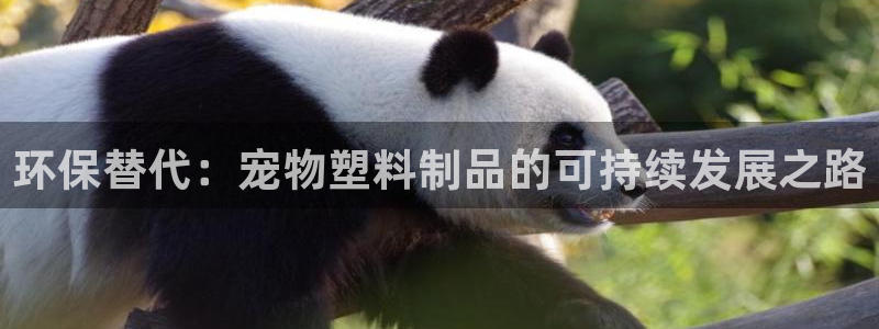 太阳集团电子游戏官网小额充值：环保替代：宠物塑料制品的可持续