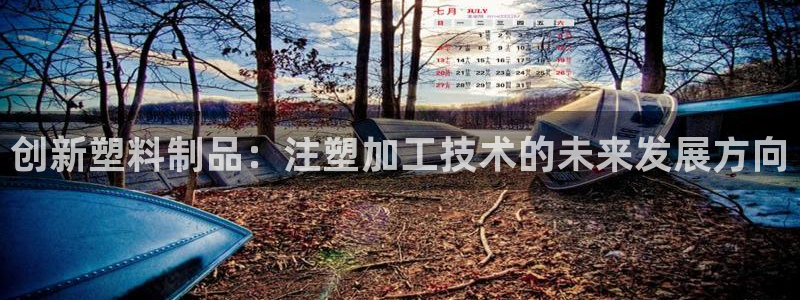太阳集团电子游戏：创新塑料制品：注塑加工技术的未来发展方向