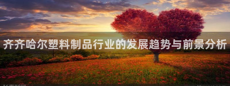 太阳电玩城下载：齐齐哈尔塑料制品行业的发展趋势与前景分析