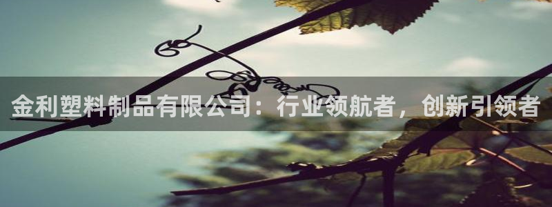 江苏太阳集团冷青松：金利塑料制品有限公司：行业领航者，创新引