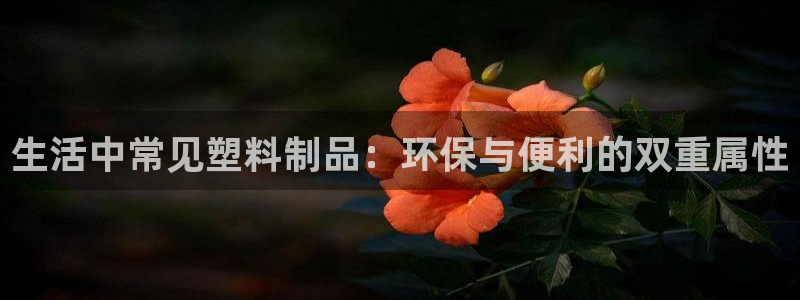 太阳集团所有网址16877：生活中常见塑料制品：环保与便利的