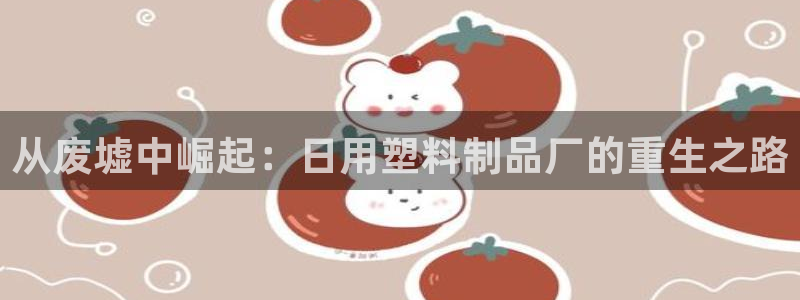 太阳成集团tyc7111cc的研发体系：从废墟中崛起：日用塑