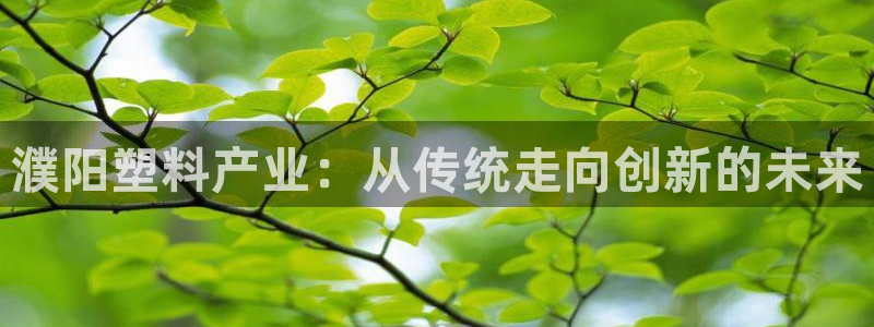 太阳商城贵宾会：濮阳塑料产业：从传统走向创新的未来