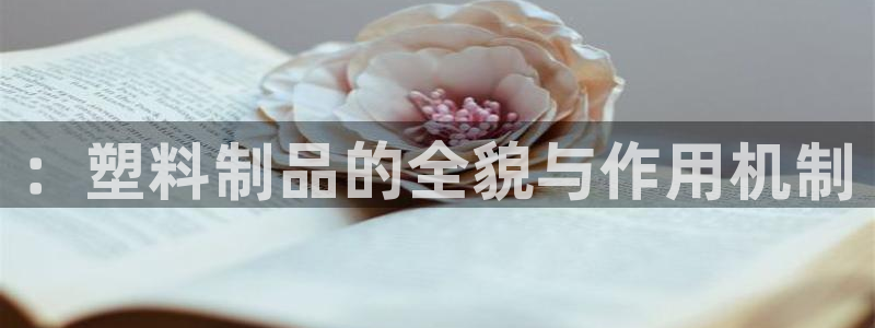 太阳董事长：：塑料制品的全貌与作用机制