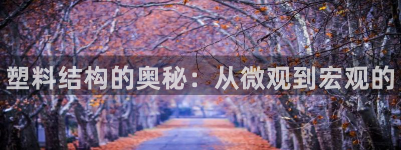 太阳成集团控股买购网：塑料结构的奥秘：从微观到宏观的