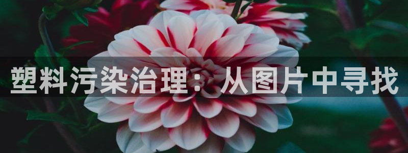ag太阳集团：塑料污染治理：从图片中寻找