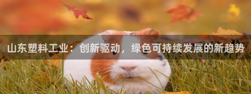 太阳集团8027：山东塑料工业：创新驱动，绿色可持续发展的新