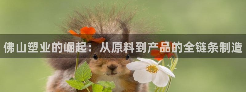 太阳诚集团有限公司是国企吗还是央企：佛山塑业的崛起：从原料到