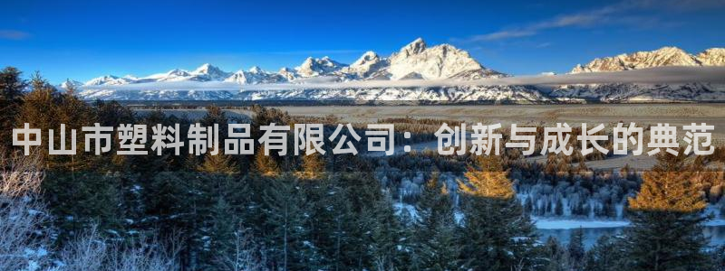 古天乐和太阳集团什么关系：中山市塑料制品有限公司：创新与成长