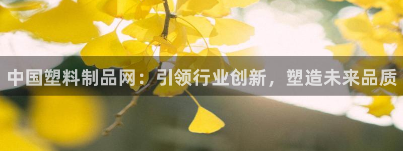 太阳集团网站5017：中国塑料制品网：引领行业创新，塑造未来