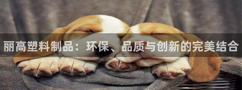 太阳集团188网站：丽高塑料制品：环保、品质与创新的完美结合