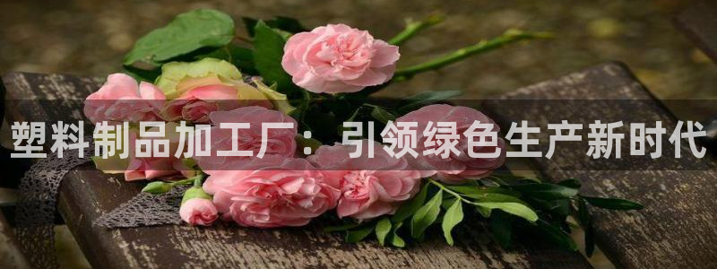 太阳集团0638：塑料制品加工厂：引领绿色生产新时代