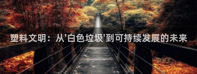 太阳集团的法人代表：塑料文明：从\
