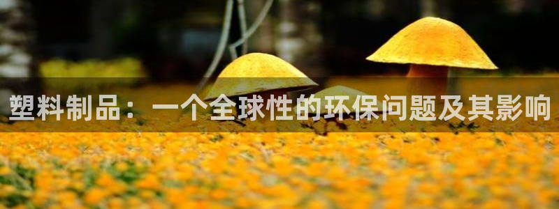 太阳集团所有网址16877官网：塑料制品：一个全球性的环保问