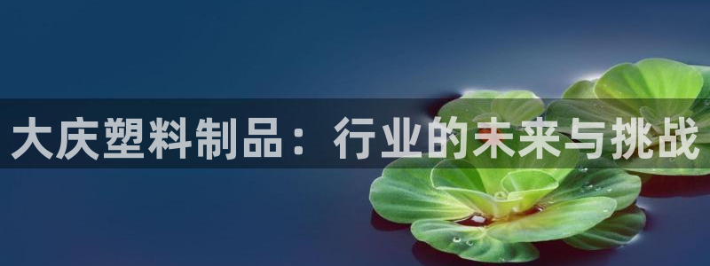 太阳集团app：大庆塑料制品：行业的未来与挑战