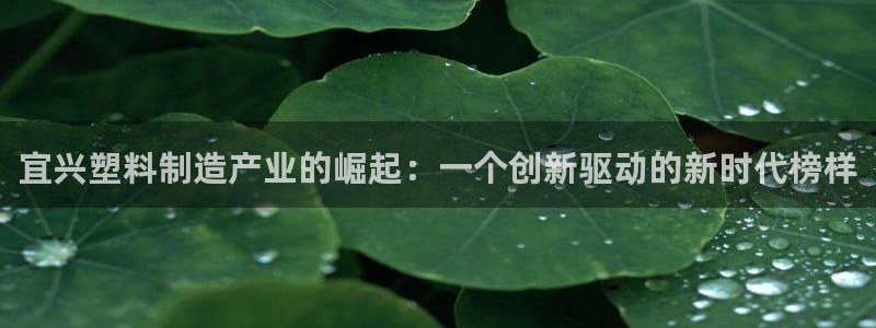 太阳集团娱乐全部网址视频：宜兴塑料制造产业的崛起：一个创新驱