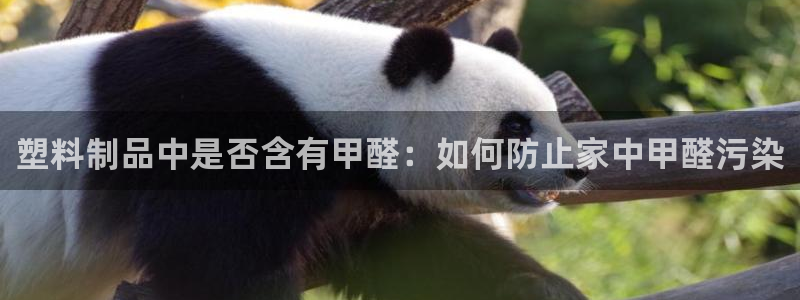 太阳集团sungroup：塑料制品中是否含有甲醛：如何防止家