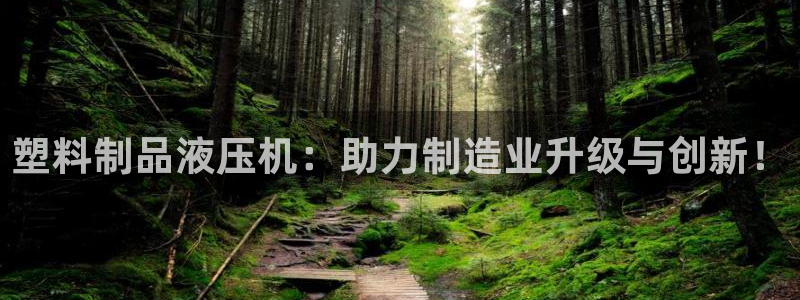 15vip太阳集团：塑料制品液压机：助力制造业升级与创新！