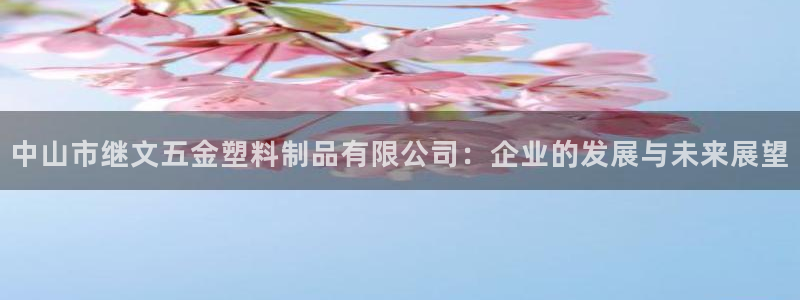 太阳阳城集团有限公司：中山市继文五金塑料制品有限公司：企业的