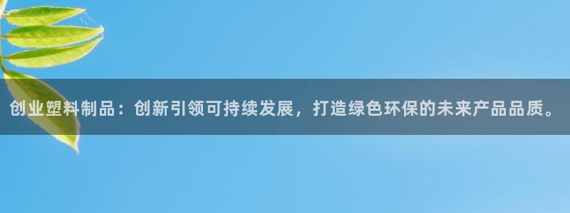 太阳集团公司董事长：创业塑料制品：创新引领可持续发展，打造绿