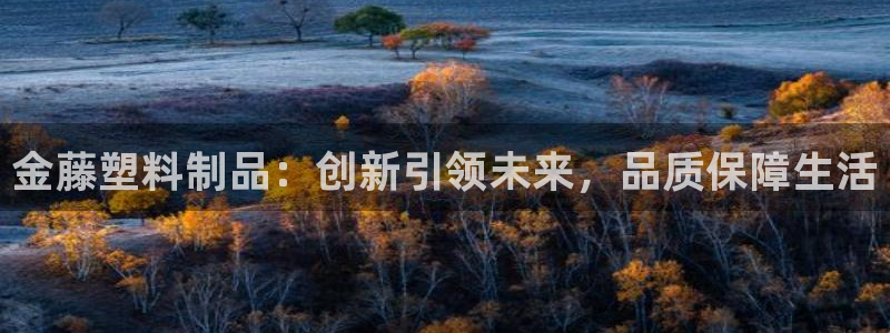 太阳集团网址首页：金藤塑料制品：创新引领未来，品质保障生活