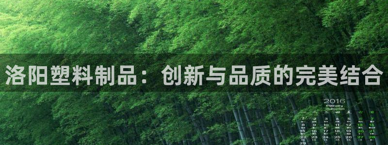 太阳控股集团：洛阳塑料制品：创新与品质的完美结合