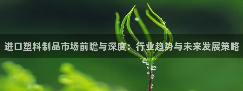 太阳集团网址首页：进口塑料制品市场前瞻与深度：行业趋势与未来