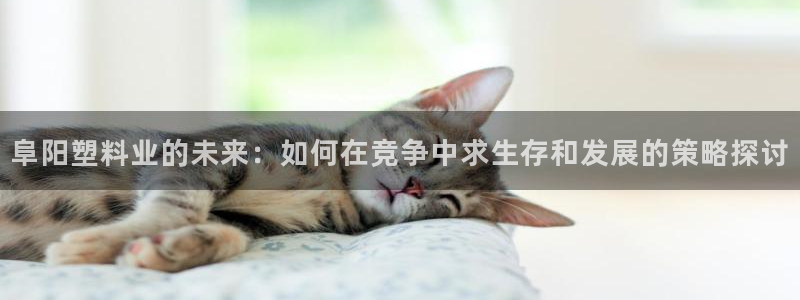 太阳成集团tyc234cc投资控股集团：阜阳塑料业的未来：如